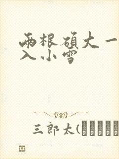 两根硕大一起挤入小雪