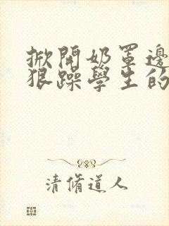 掀开奶罩边躁狠狠躁学生的小文字