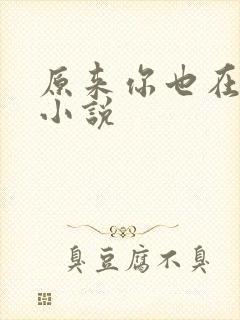 原来你也在这里小说