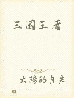 三国王者