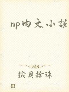 np肉文小说