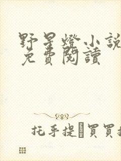 野星灯小说全文免费阅读