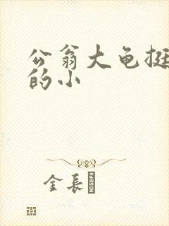 公翁大龟挺进我的小