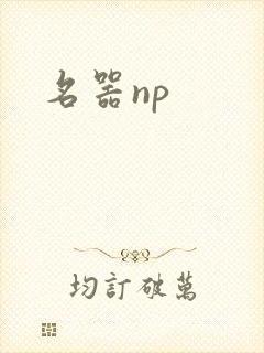 名器np