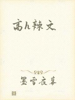 高h辣文