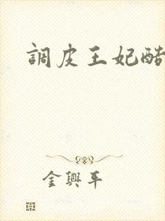 调皮王妃酷王爷