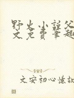 野火小说父女全文免费笔趣阁