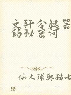 文轩分腿器河马的秘密河