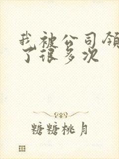 我被公司领导C了很多次