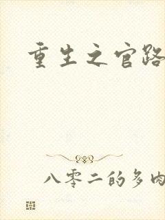 重生之官路风流