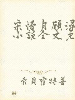 宋惜月顾浔渊的小说全文免费阅读