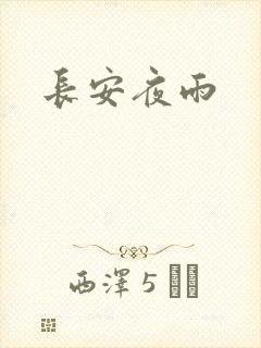 长安夜雨