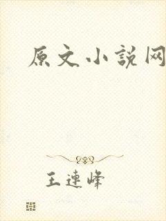 原文小说网