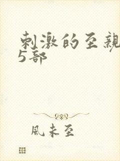 刺激的至亲乱45部