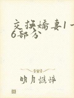 交换娇妻1一36部分