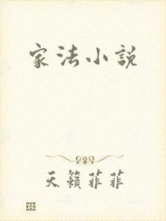 家法小说