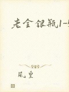 老金银瓶1-5
