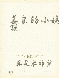 善良的小姨子小说