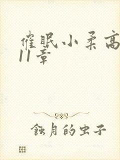 催眠小柔高达第11章