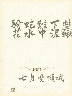 骑蛇难下双金银花水中泥鳅双男主