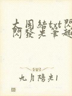 大团结txt闪闪发光笔趣阁