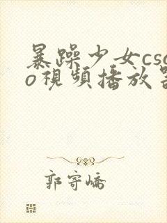 暴躁少女csgo视频播放器推荐