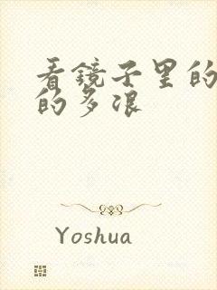 看镜子里的你叫的多浪