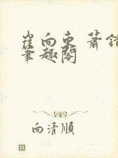 崔向东 萧错 笔趣阁