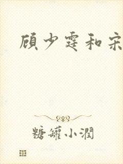 顾少霆和宋斯曼