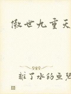 傲世九重天小说