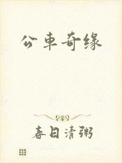 公车奇缘