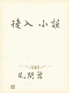 后入 小说