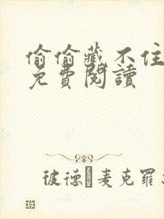 偷偷藏不住小说免费阅读