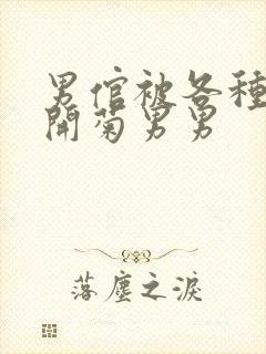 男倌被各种玉势开菊男男