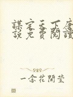 谋定天下唐诚小说免费阅读