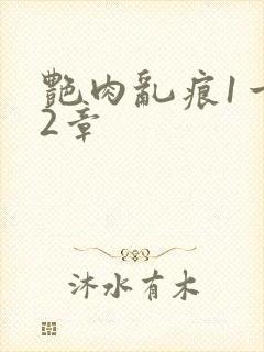 艳肉乱痕1一12章