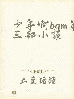 少年啊bgm第三部小说