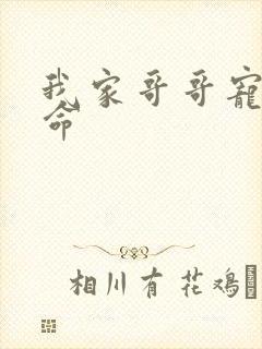 我家哥哥宠妹如命