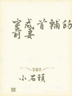 穿成首辅的炮灰前妻