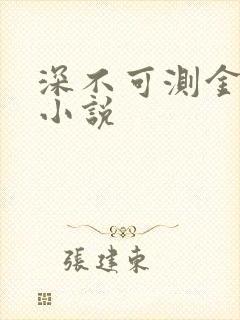 深不可测金银花小说
