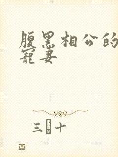 腹黑相公的庶女宠妻