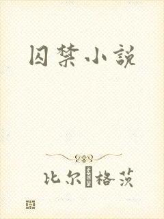 囚禁小说
