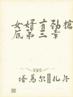 女婿有劲枪枪到底第三章