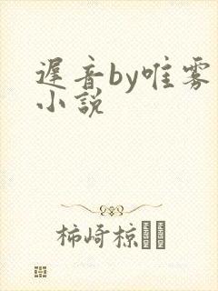 迟音by唯雾的小说