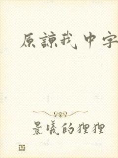 原谅我中字