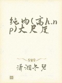 纯肉(高h.np)大尺度