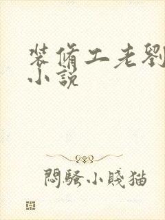 装修工老刘林雪小说