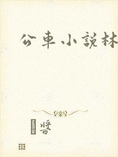 公车小说林蔓蔓