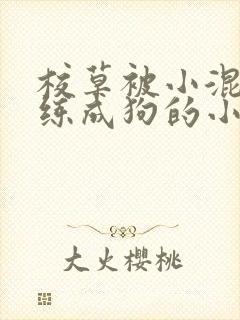 校草被小混混训练成狗的小说