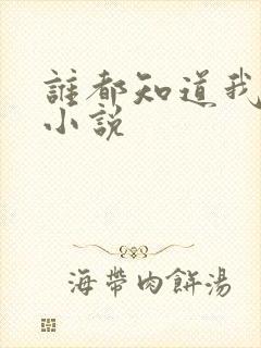 谁都知道我爱你小说